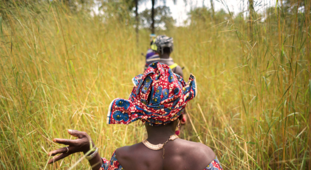 #WeekendDataRead: #Climate finance is growing—but will women actually benefit?

A new Gender Action Plan for climate is coming in 2025.

How can we ensure it works for women?

Read more here: shorturl.at/pJbKM