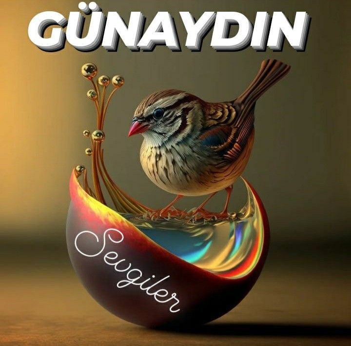 Ülkü Kcmn (@ulkuk74329) on Twitter photo 