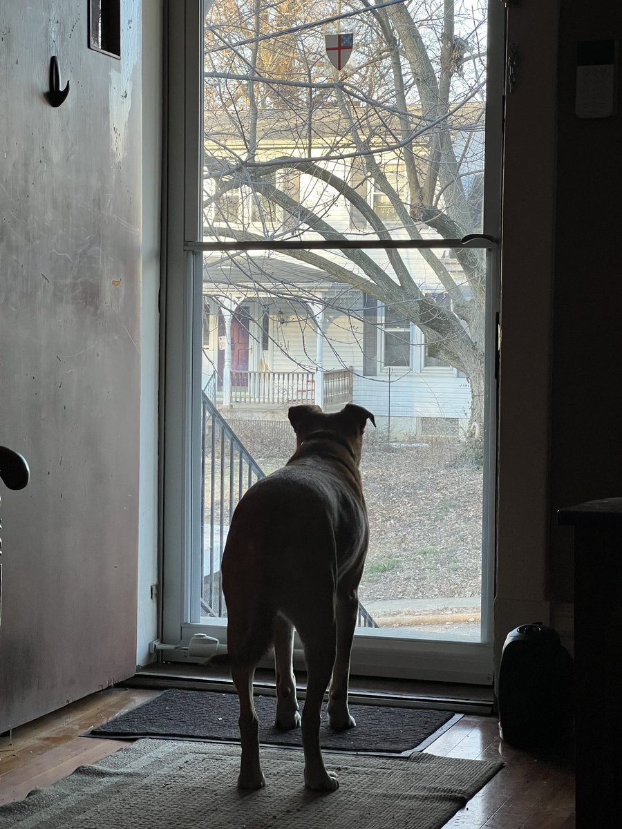 stephenjrobin's tweet photo. On guard. https://t.co/umXbqeiNaD