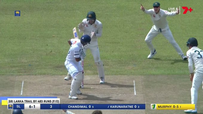 They say there are two types of leaves 🫣 📹 Credits: Twitter/7Cricket