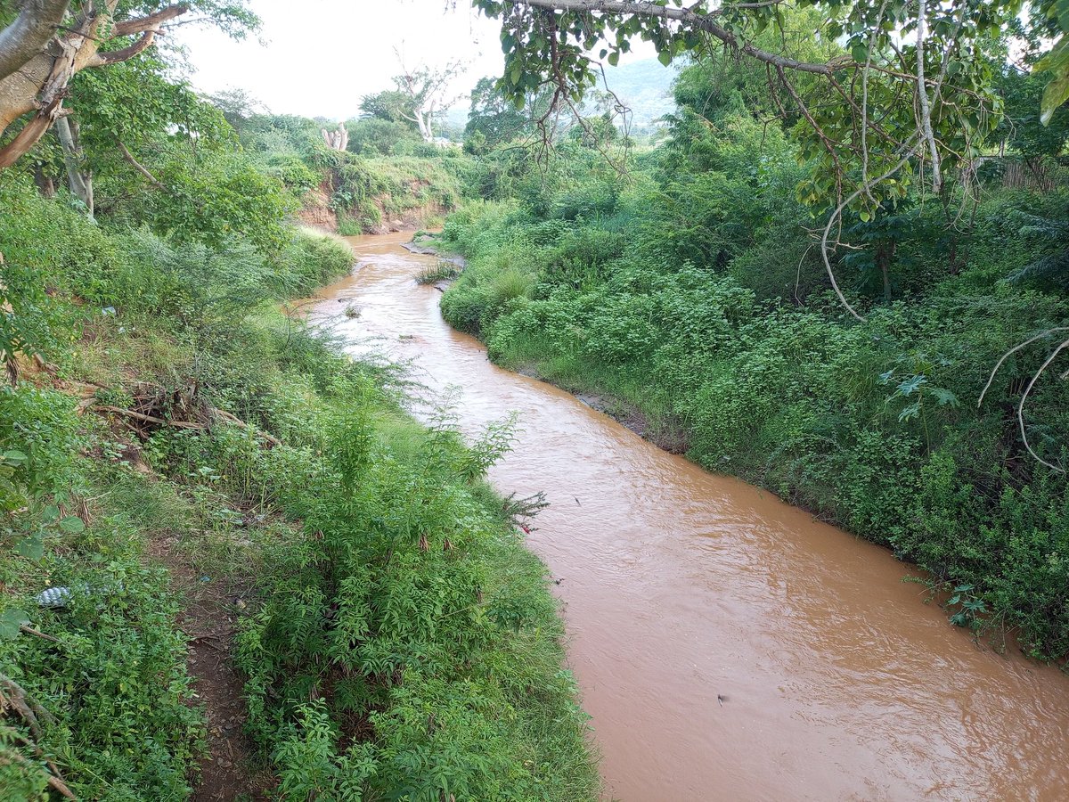 Achieving Sustainable Agriculture in Taita Taveta County requires a holistic approach:
 Agroforestry &amp; organic farming for soil health
Water conservation &amp; renewable energy for resilience
Community empowerment.

 The Taita Taveta People Forum is driving this transformation