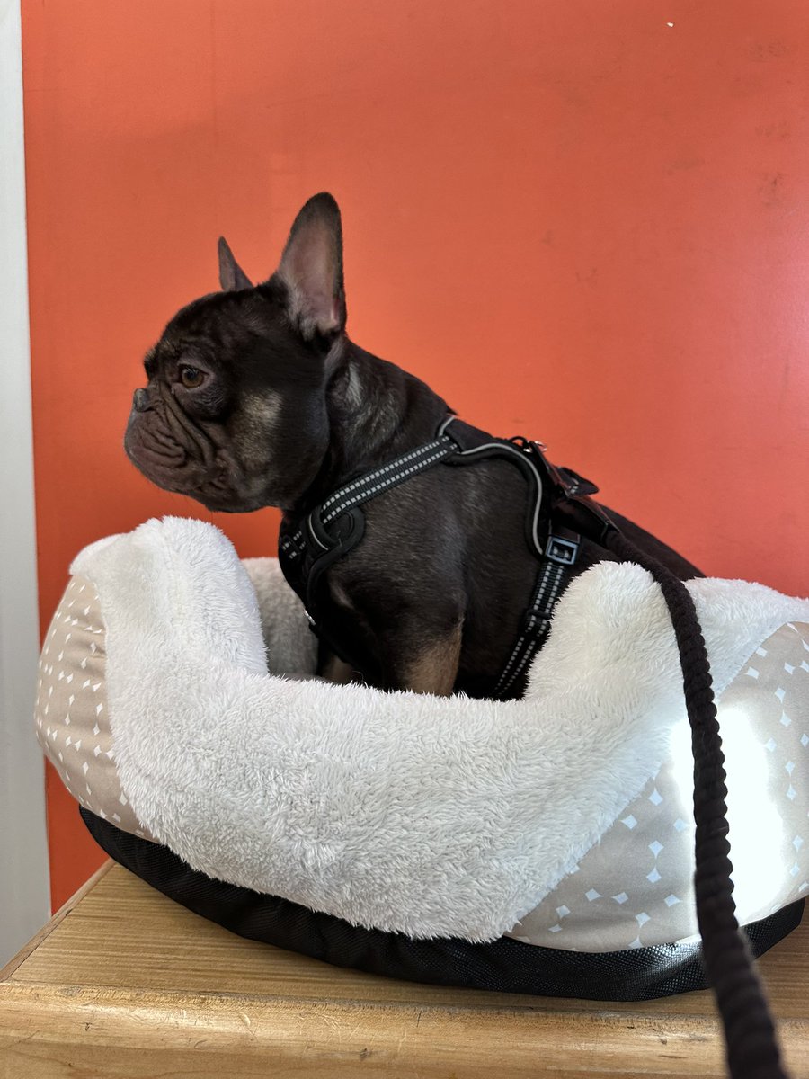 Little Lana 💋 (@yourlittlelana)  X