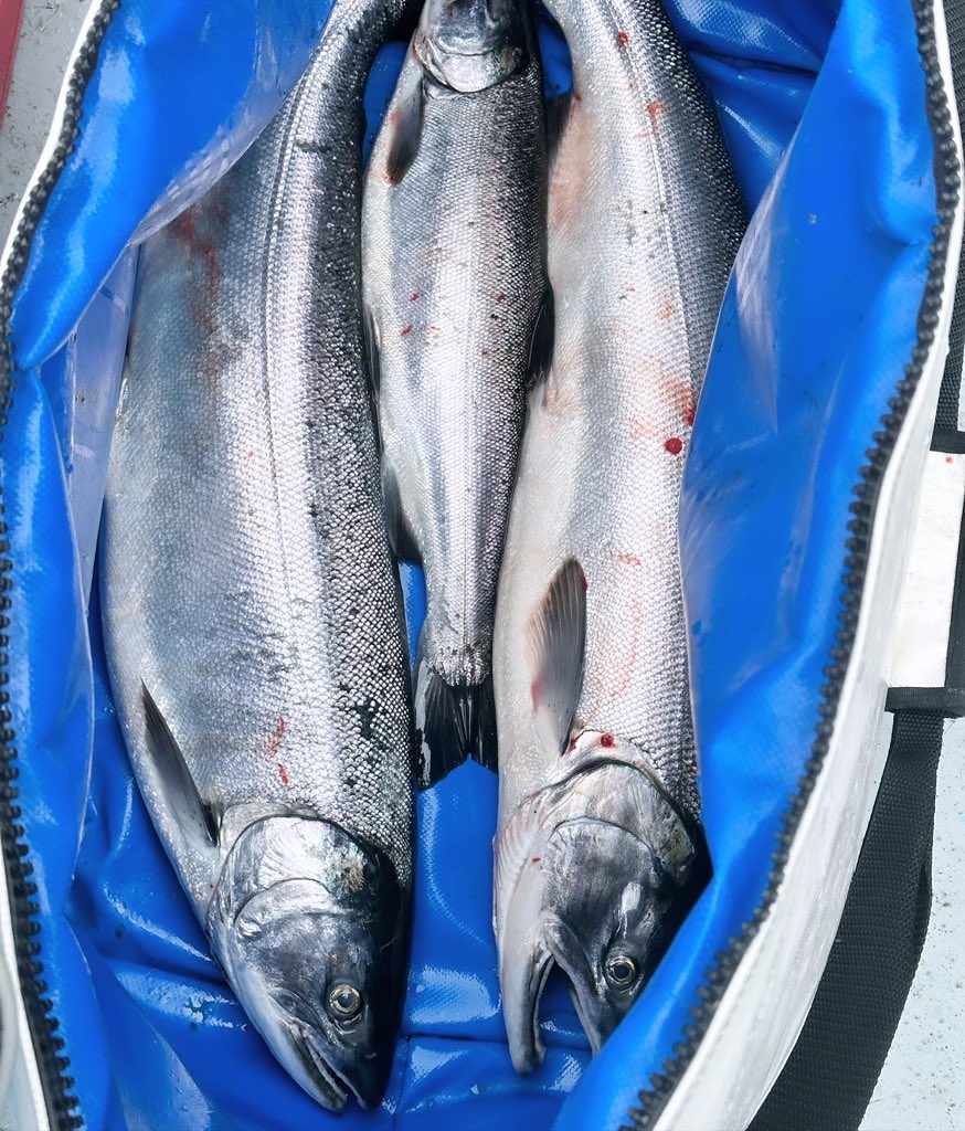 RubbBandGrant's tweet photo. Need another fishing trip asap https://t.co/tM2FIkD26Z