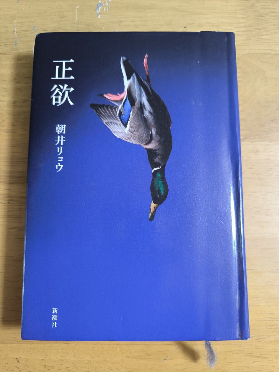 amakuma77's tweet photo. #朝井リョウ
#正欲
#読了
#読書

すごいものを読んだ！
朝井リョウさんは凄い
流行りのように「多様性」とか話題にすることがあるが、読後はそんな事を思うことがすべて放漫な気がする。 https://t.co/9RgGbxW6vo