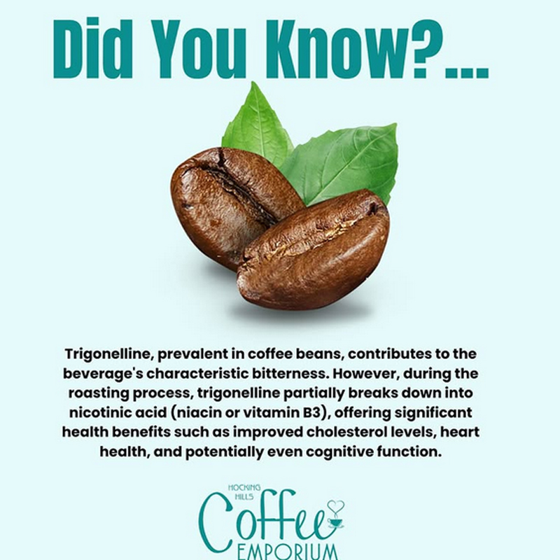 OrganicLiveFood's tweet photo. #Coffee contains over 100 polyphenols, which are #antioxidant compounds like phenolic acids &amp; flavonoids. These may help protect against oxidative stress that could lead to neurodegenerative &amp; chronic conditions like #obesity, cardiovascular disease, type 2 #diabetes &amp; cancers.