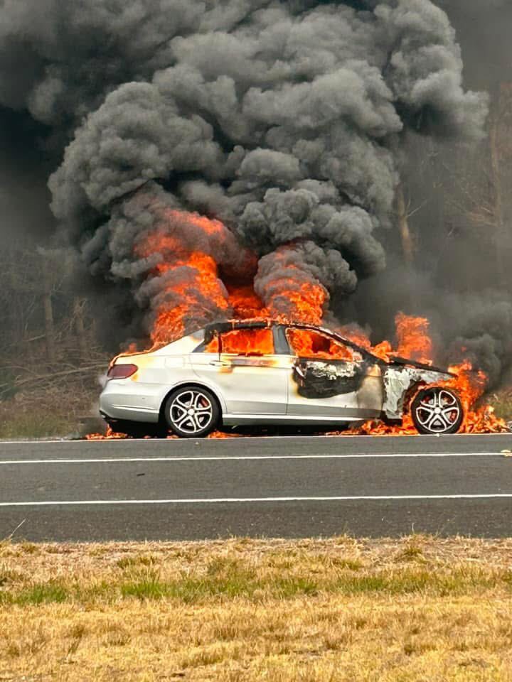bushmanstevo's tweet photo. On a horrible day for fires to start, 78 year old farmer Dave Stevens is first on scene and saves fire from getting into Pine plantation at Compton near Mt Gambier after a vehicle catches fire on Princes Hwy @7NewsAdelaide @9NewsAdel @abcadelaide Photo credit to Shelley Gregurke https://t.co/rtRtOZCg9A