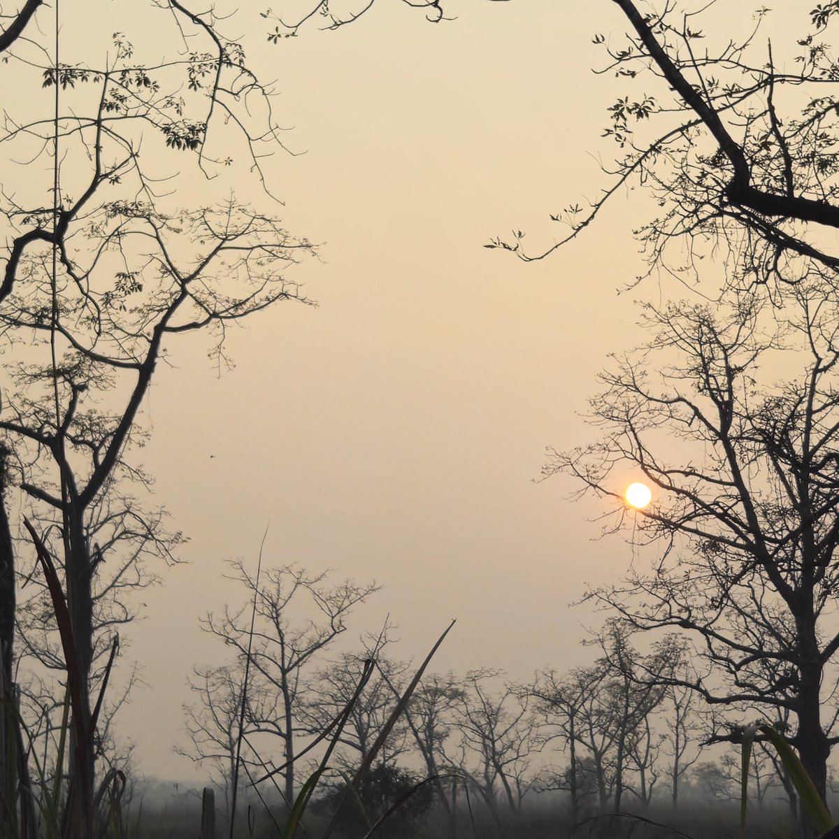 PrabinAcharya's tweet image. Weekend #SAURAHA