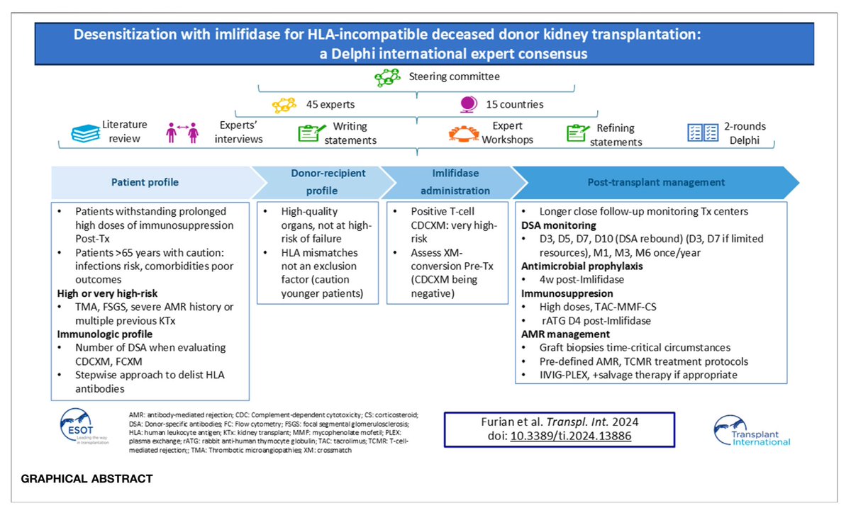 hardik4u24's tweet photo. 🚨Game-changer in kidney transplants!🚨
💉Imlifidase clears DSAs fast, enabling HLA-incompatible transplants for highly sensitized patients.
Faster desensitization, better outcomes!💪
🔬Redefining rejection risk!
#Nephrology #Imlifidase #HLAi #KidneyTransplant #MedTwitter https://t.co/z4l4o6jyH5