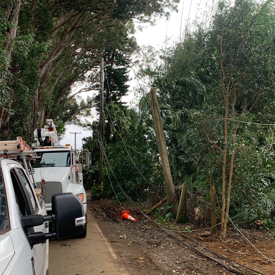 Hawaiian Electric tweet media