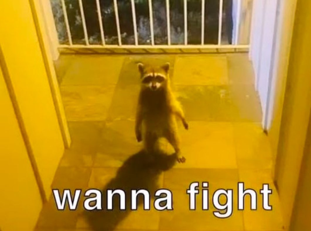 To punch or to be punched. 

Morning folks 🤙