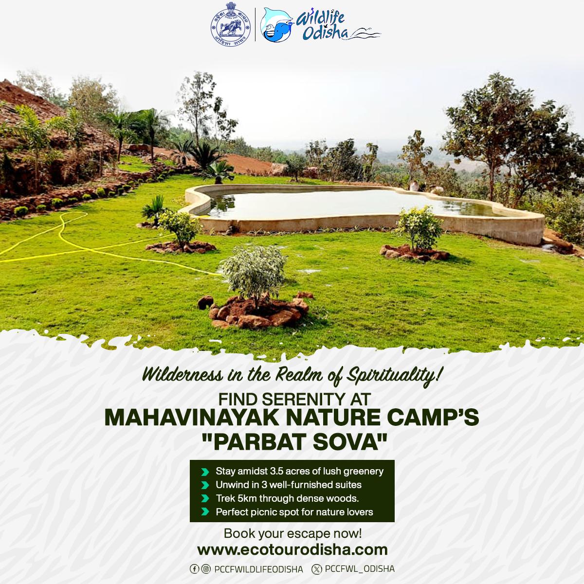 Escape to the wilderness! 

Tucked away near ancient Buddhist monasteries, Mahavinayak Nature Camp offers serene forests, scenic treks, &amp; spiritual heritage.

#MahavinayakNatureCamp #EcoTourism #odishatourism 

Book your stay at 
ecotourodisha.com