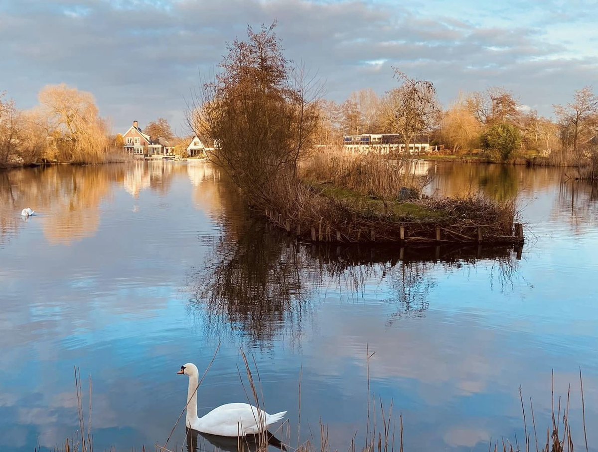 #Goedemorgen #zaterdag 

Na een heerlijk samen zijn in mijn geboortedorp #Maasland met mijn zussen tussendoor genoten van prachtige lucht. Een schilderij zo met die #zwaan🥰

Het wordt mooie dag want ik ben #jarig; ben er gek op🤗

#Fijnweekend💋

#nature #swan #birthdaygirl🥳