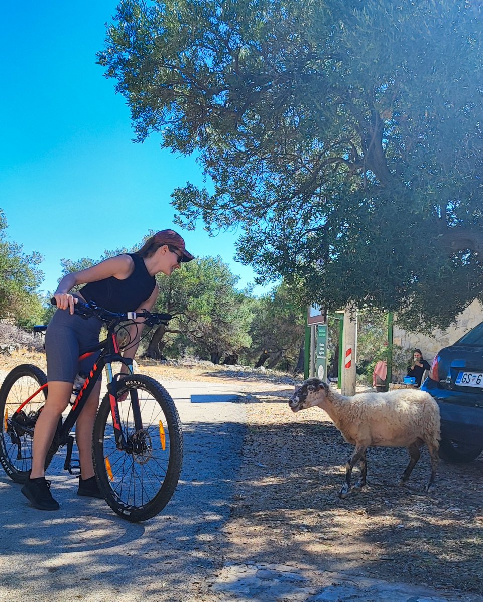 bikademy's tweet photo. Exploring rural areas by bike is the best way to get up close and personal with nature! 🌿🚲

Rural roads, rolling hills, and fresh air—it’s where cycling meets adventure. Every ride brings a new discovery, a new story, and a reminder of how beautiful the world is when you slow down and take it all in.

Step away from the city, hop on your bike, and let the journey surprise you. The best adventures are waiting off the beaten path! 💨🌍

#nature #cycling #cyclingtourism #bike #activetravel #activetourism #tourism #travel #sustainabletourism #startup #mobility #activemobility