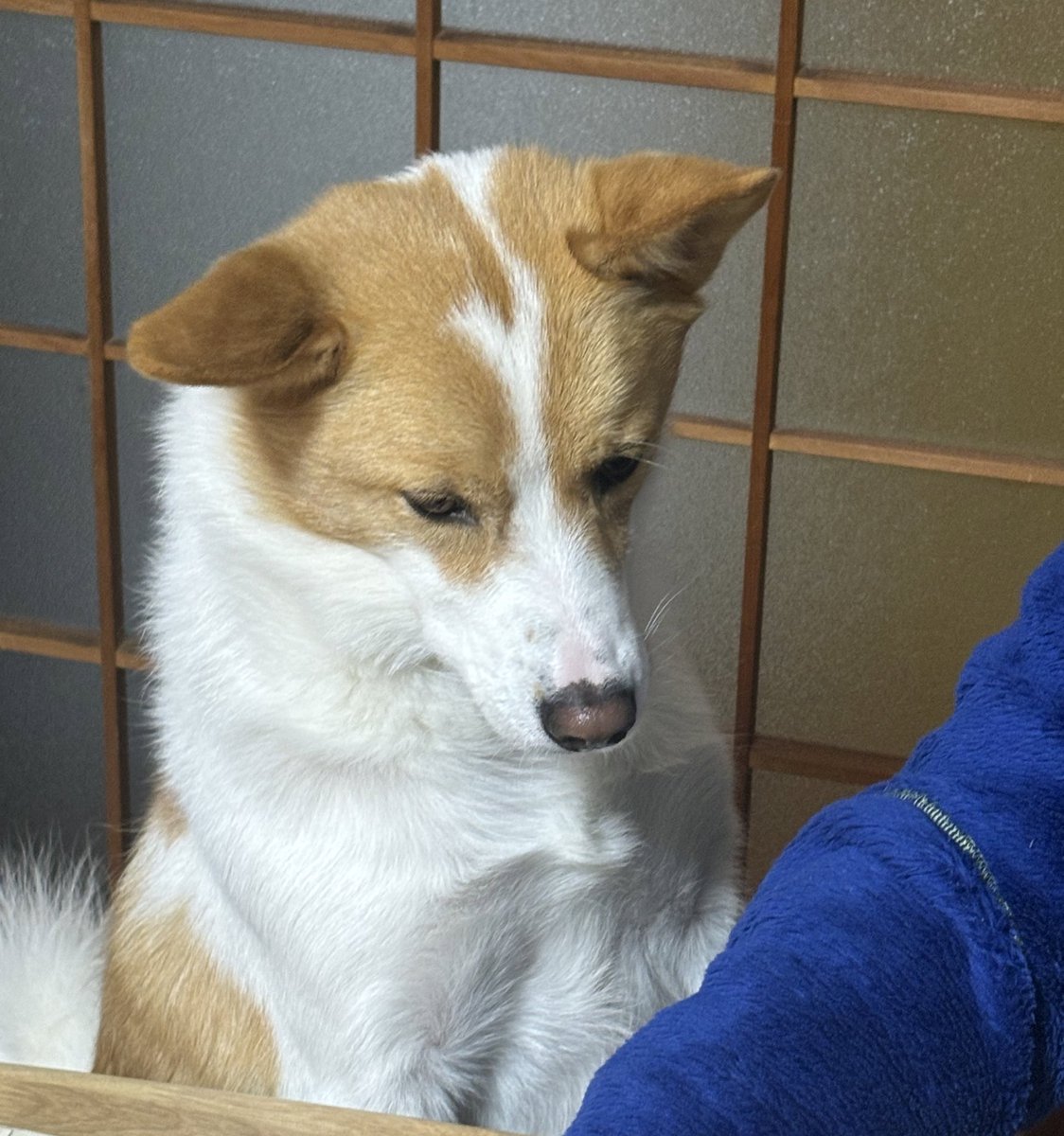 inullnuit (@inullnuit) on Twitter photo 