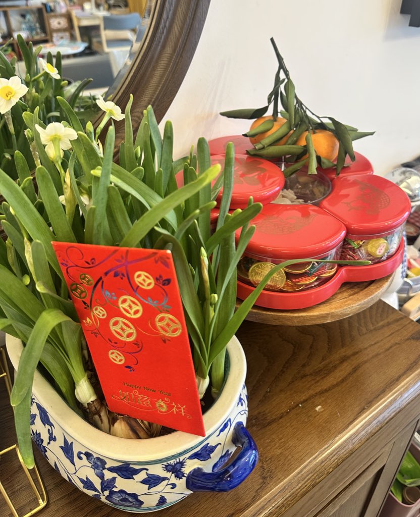 Ringing in the Year of the Snake 🐍 with abundant new year wishes, much of the lunar new year is really about ‘fat Choy’ which means making lots and lots of money, so gold coins are an important feature!