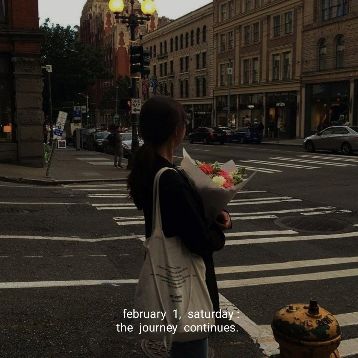 mood novella tweet media