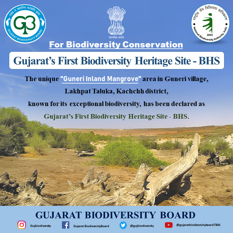 GujBiodiversity's tweet photo. "Gujarat's First Biodiversity Heritage Site (BHS)"

The unique "Guneri Inland Mangrove" area located at Guneri in Lakhpat Taluka of Kutch district has been declared as Gujarat's first Biodiversity Heritage Site (BHS). https://t.co/48XjlTFAoe