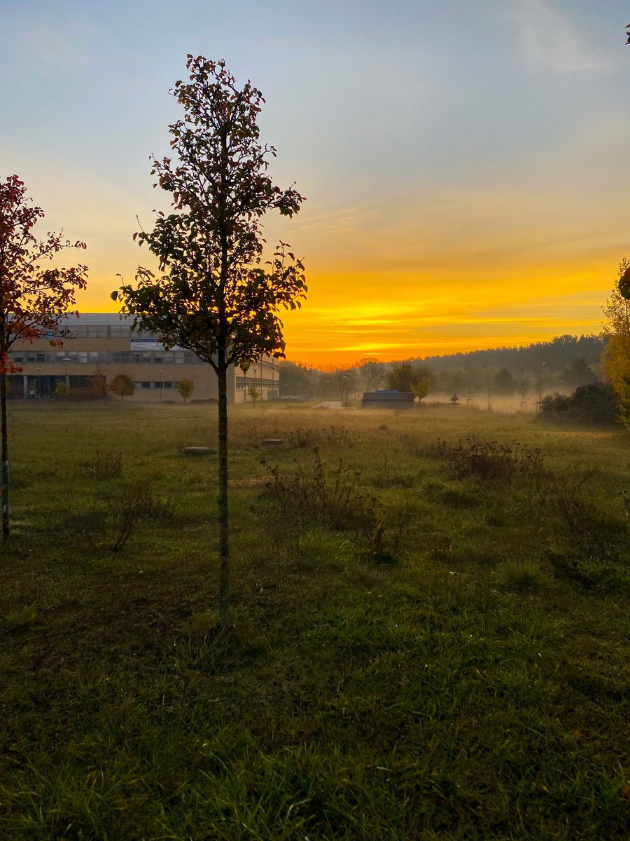 AleTypiara tweet media