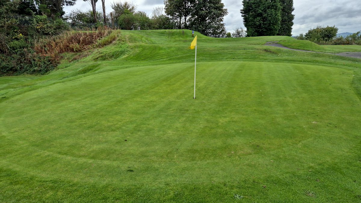 Stewart 𓅪 tweet media