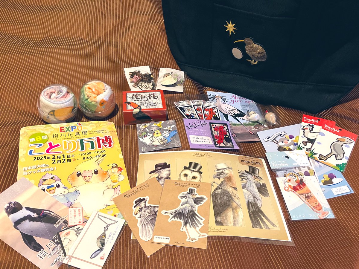 鳥界の中の最推しのハイイロエボシドリちゃんが居る掛川であれば…！と望みをかけて初万博でしたが、さすがことり万博…色々な子をお迎え出来ました🫶
かなり抑え気味に巡りましたが…ことり万博なので仕方ないです💸

 #ことり万博