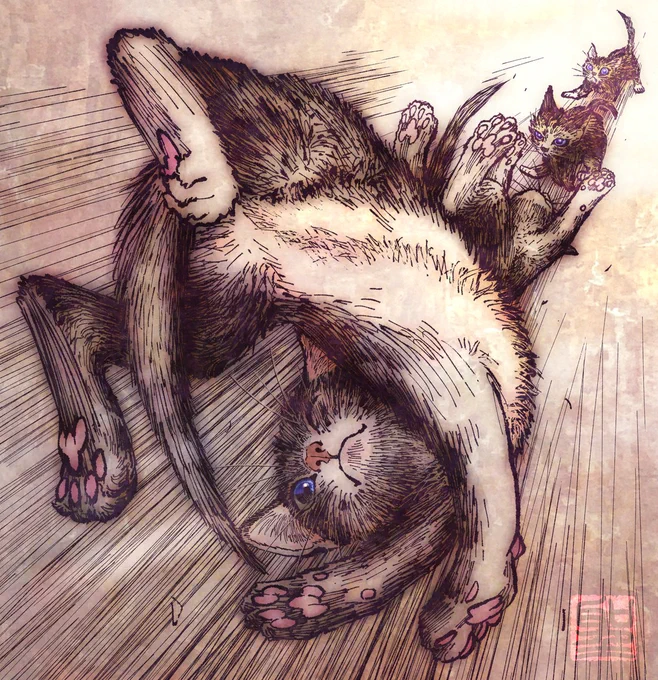 おはっこんっばんっちわっ!!「この仔猫の名はわちゃ」 
