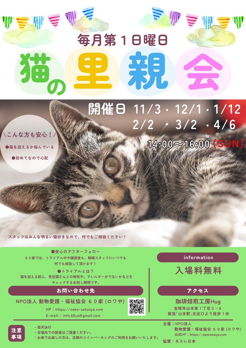 明日2/2(日)は🍀宝塚市譲渡会 in 珈琲焙煎工房Hug☕️😺🍀

写真で参加猫のご紹介♫

譲渡会では総勢26頭の猫たちが参加します❤️

様々な性格、見た目のそれぞれ個性があります😊

どんな子が相性が良いか相談しに来てください✨
neko-satooya.com

#保護猫 #子猫 #譲渡会 #宝塚 #60家