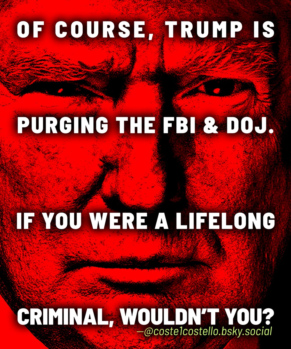 💙 Dr. MemeNstein votes 💙 BLUE 🇺🇸🦅 (@coste1costello) on Twitter photo 