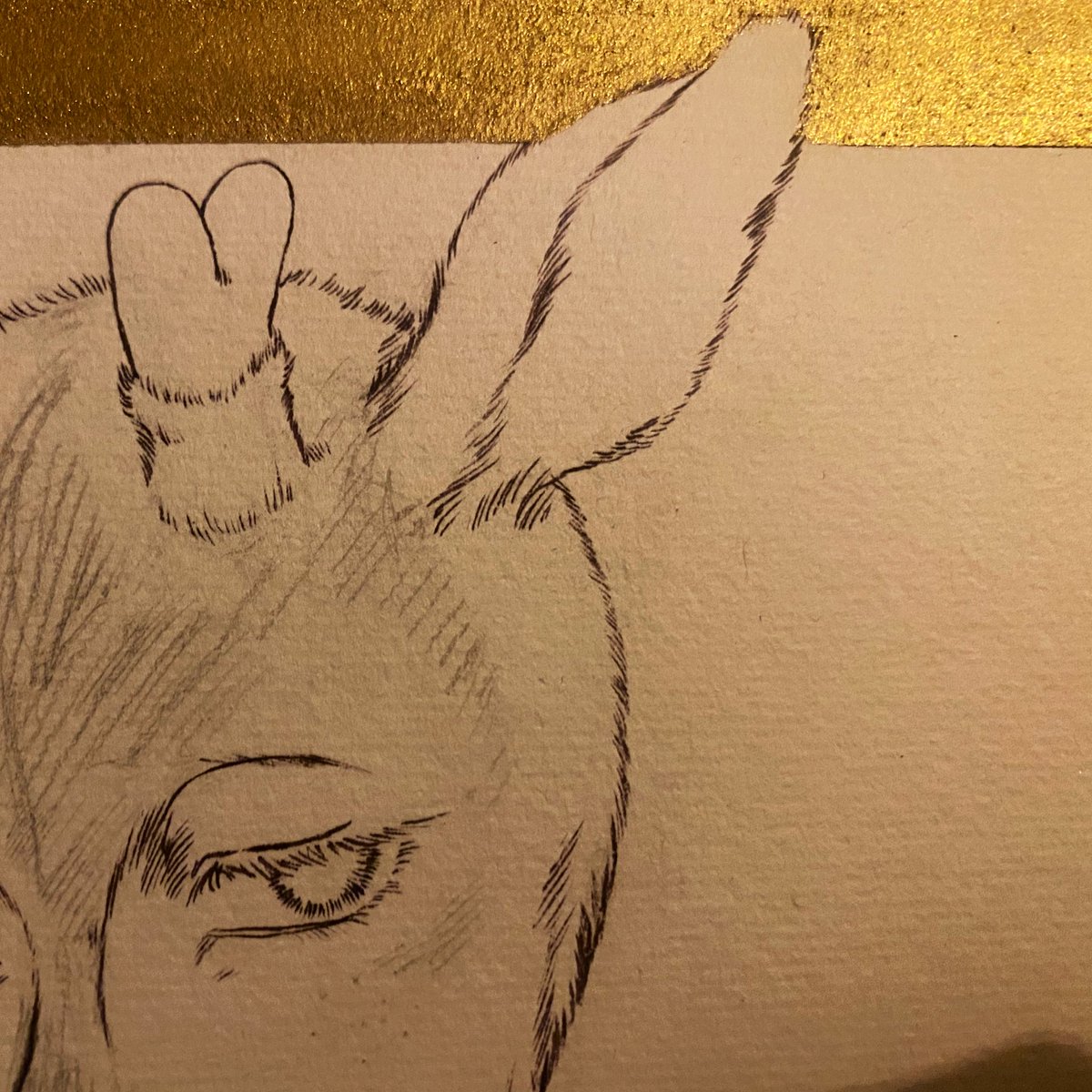 bonborion's tweet photo. キラキラだねぇ https://t.co/HHQsWwltKQ