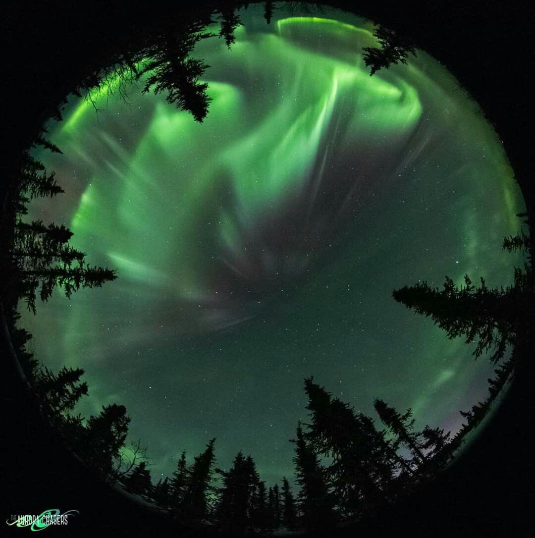 astroeic's tweet photo. https://t.co/4LzGuhdF3S
