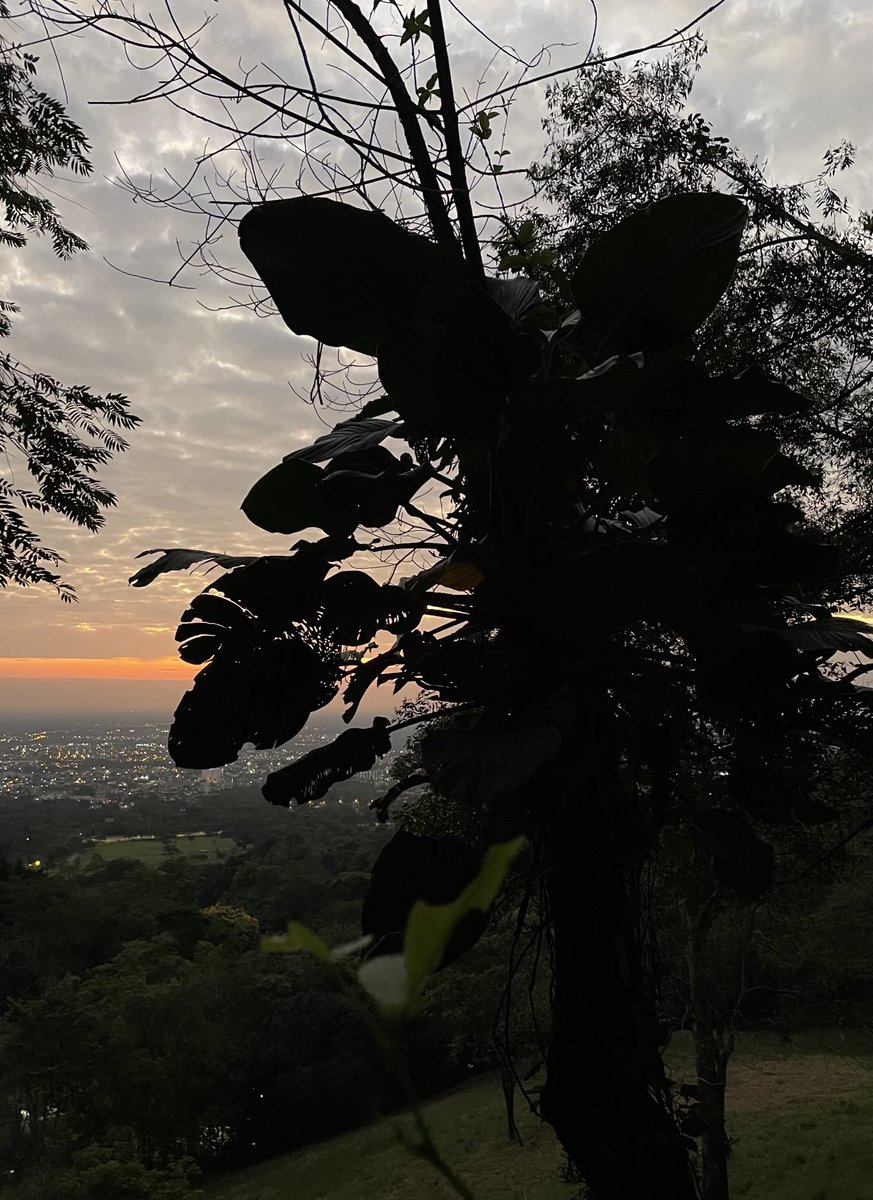 maoherrera7's tweet photo. Vereda El Carmen. #Villavicencio. 5:51 Am. siempre habrá una foto nueva que tomar. #TributoaIsa. #TributoaHash. #CazandoAmaneceres. https://t.co/52LZZBYmbQ