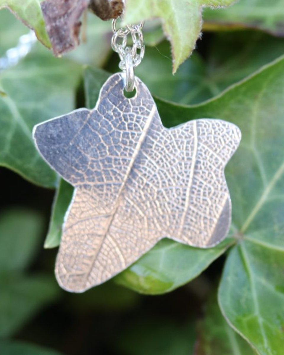 Numonday tweet media