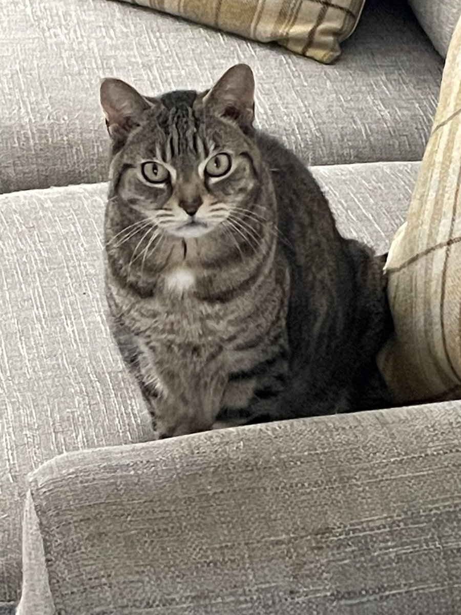 Karen Pomery 💙💛🌻 tweet media