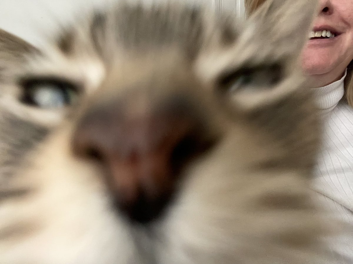 Karen Pomery 💙💛🌻 tweet media