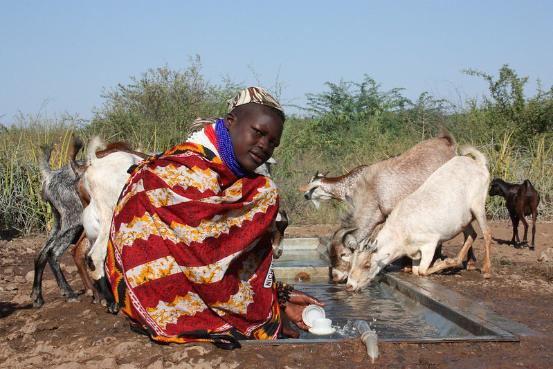 Check out:
"Consequences for Maasai pastoralists of changing water access regimes in the Greater Amboseli ecosystem, Kenya" 
by A. Bostvironnois and colleagues
water-alternatives.org/index.php/alld…
