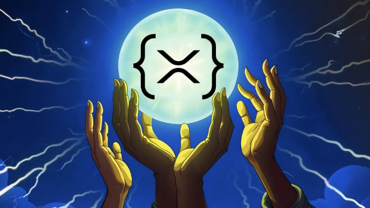 xrpmaxibull tweet media