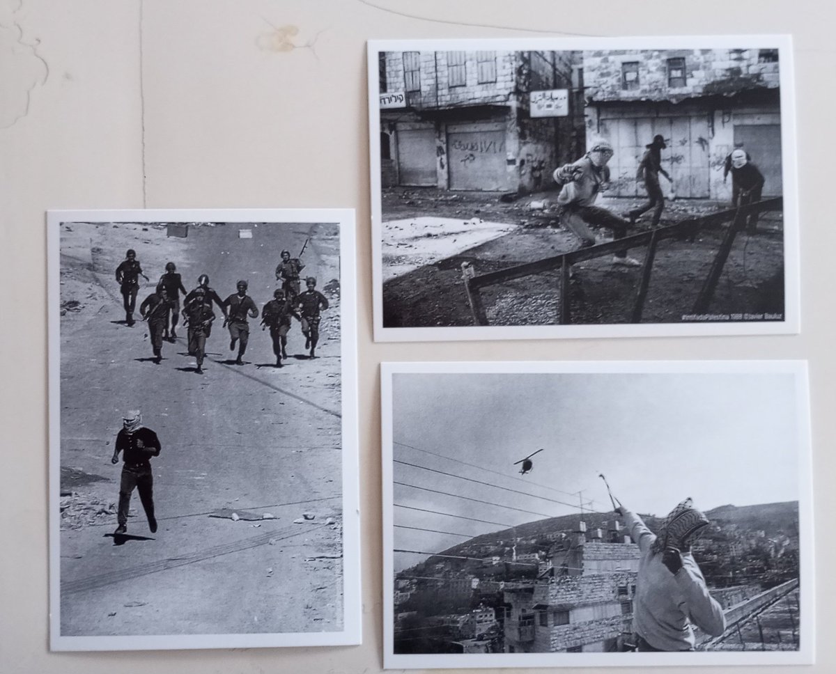 🌺Fede Zaragoza🌼🇵🇸 tweet media