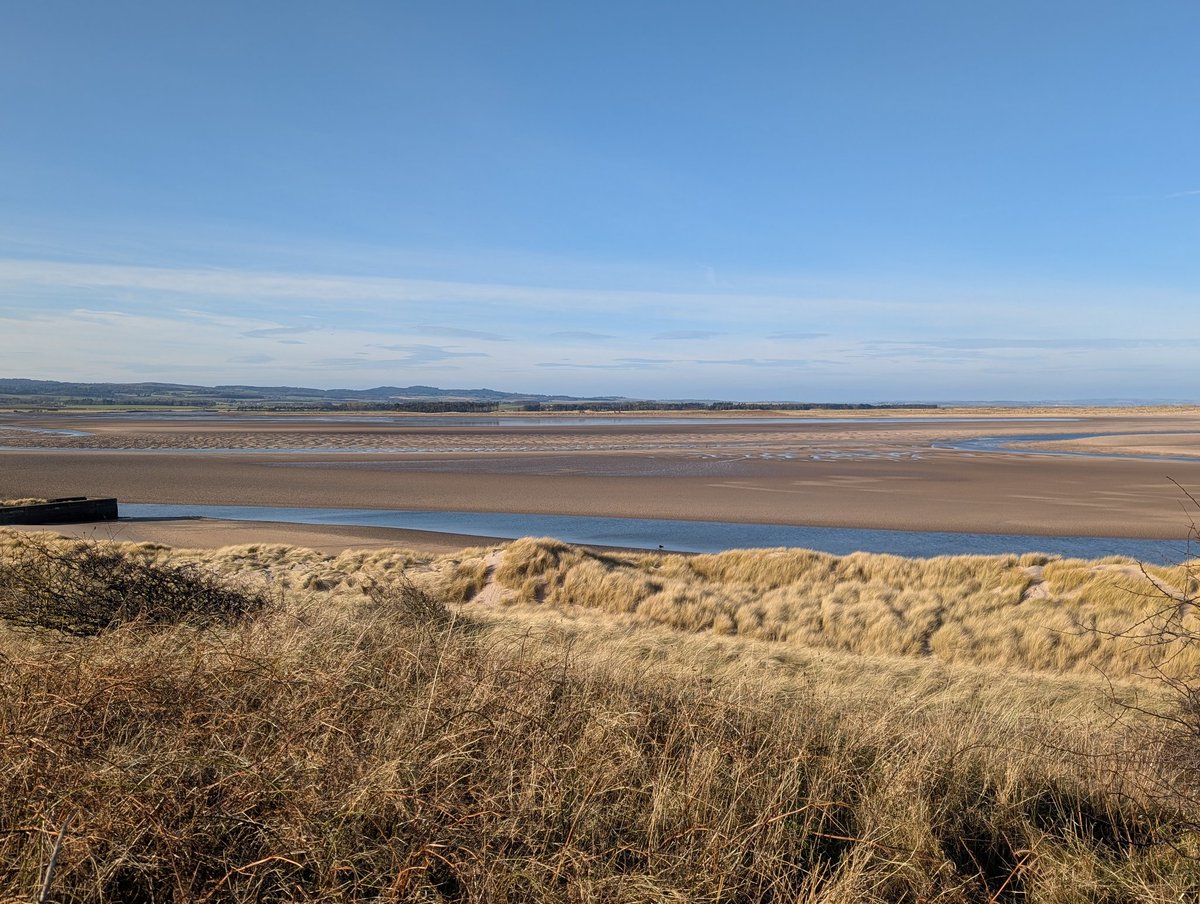 It's a lovely birthday day in Bamburgh!