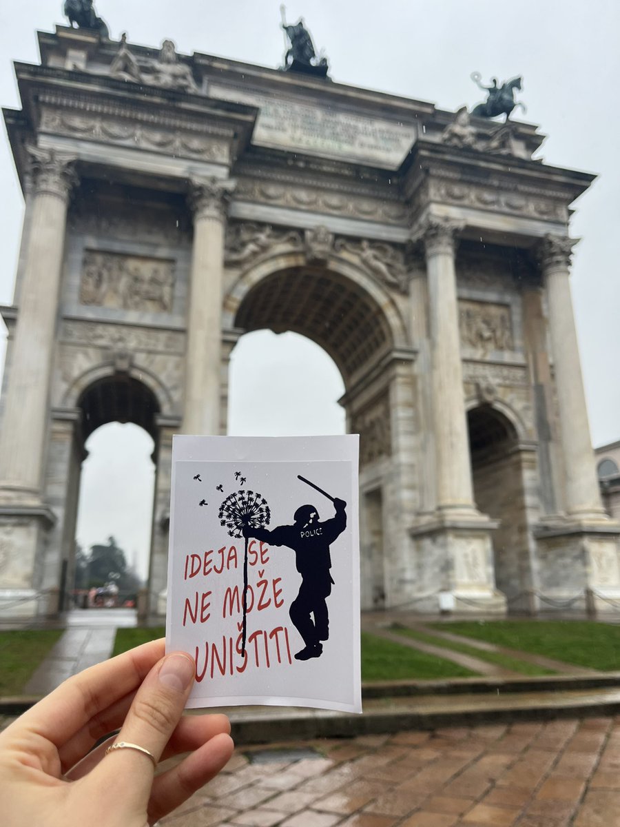 Vanja Miskovic (@vanja_miskovic_) on Twitter photo 