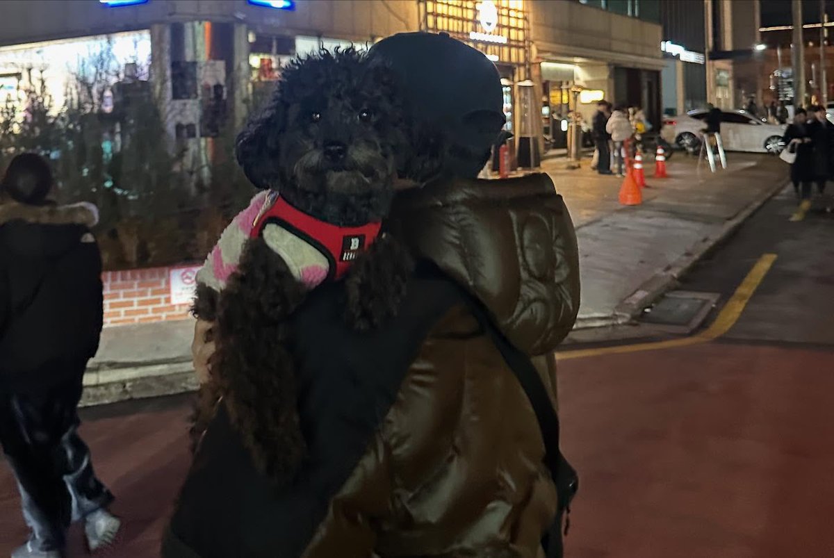 judyxxn's tweet photo. 많이 긴다리 파다닥 여니랑 
뽀글 긴다리 견동이의 만남 귀여워서 ㅁㅊ겟음 https://t.co/PTGTW7E14P