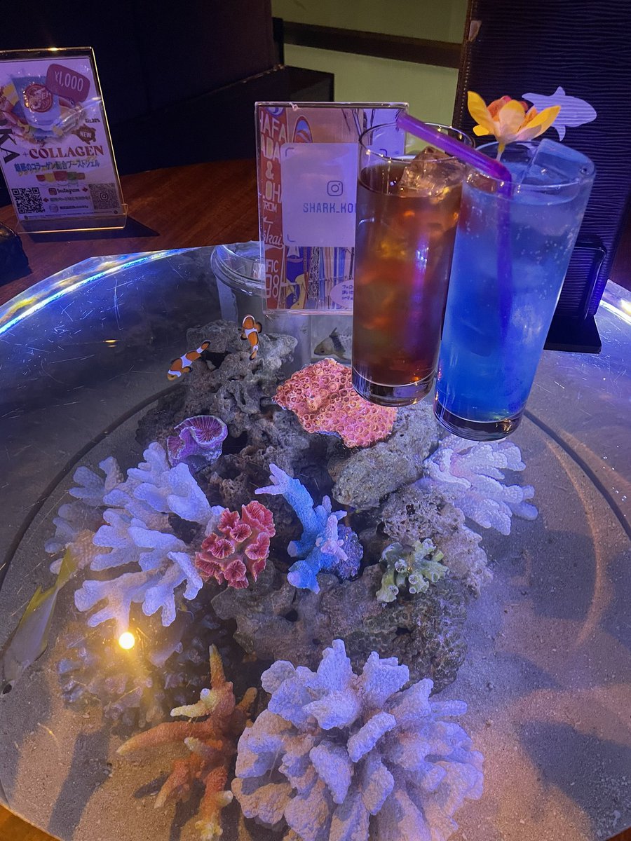 Ssyacho1121's tweet photo. 先日彼女の誕生日に
テーブルが水槽になってる
BARや夜景が綺麗なホテルに泊まってきました😊

また素敵な記念日が増えて嬉しい😆 https://t.co/2aoPGM1Hp8
