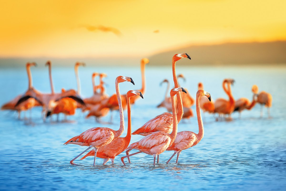 Hapag-Lloyd Cruises tweet media