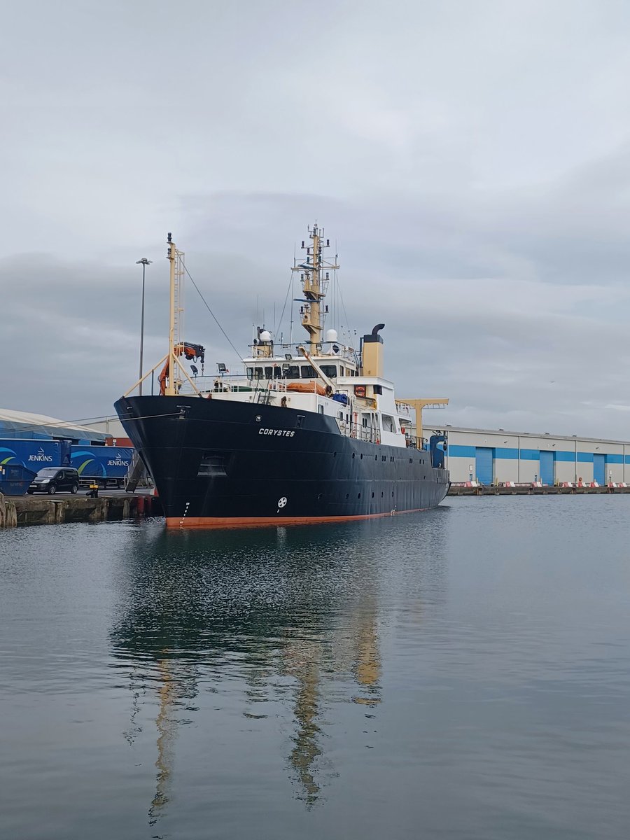 Micky Smyth tweet media