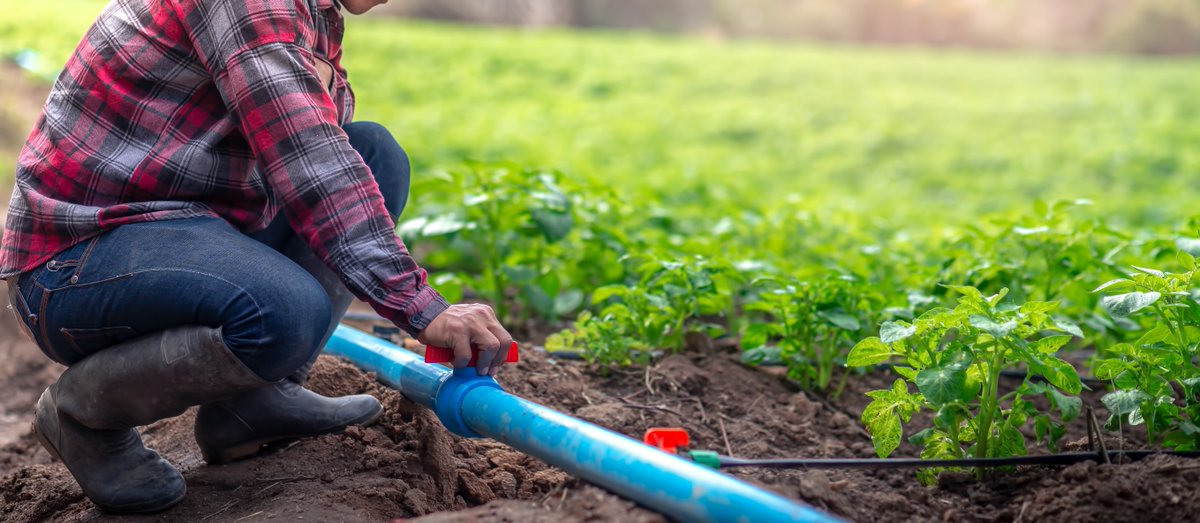 BZL_aktuell's tweet photo. #Innovationsförderung: Das @bmel fördert Ideen💡 zum klimaangepassten Umgang mit der #Ressource #Wasser.
🗓️Projektskizzen bis zum 29.04.2025 einreichen!
👉 https://t.co/nOcmN2knu1
#Wassernutzung #Wasserhaushalt #Wasserwiederverwendung #Klimaanpassung #PTBLE #BLE https://t.co/jAHx5tKRPX