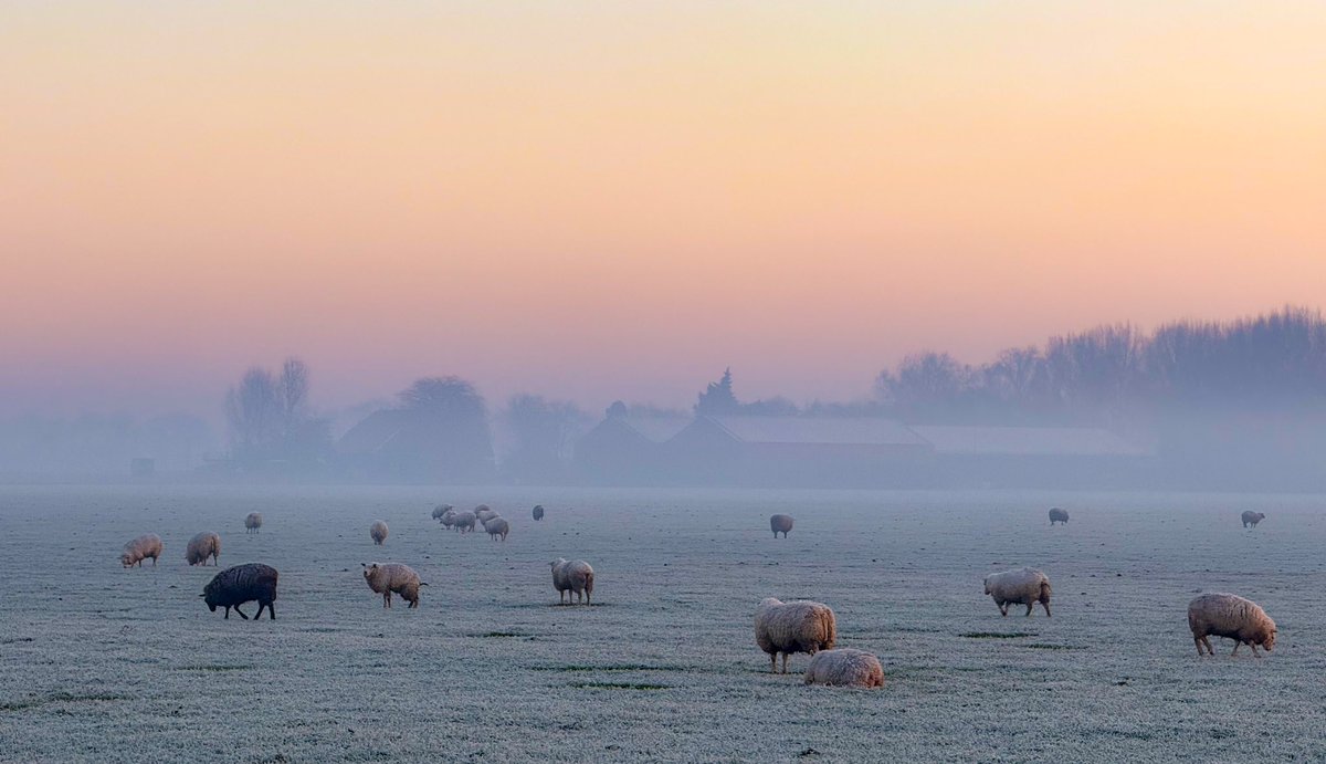 Goedemorgen! Fijn weekend allemaal.