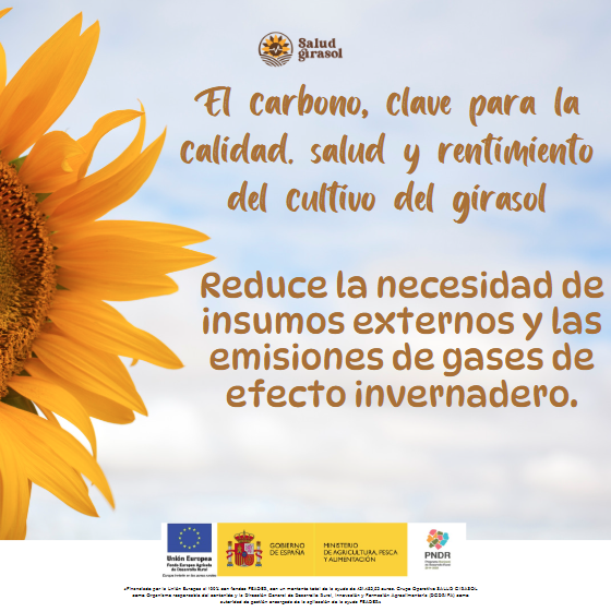 🌱 El carbono del suelo, aliado de la sostenibilidad 🌍

🌾 Secuestra carbono, ayudando a mitigar el cambio climático.
♻️ Reduce la necesidad de insumos externos y emisiones.
💧 Mejora la salud y productividad del suelo.
ow.ly/Ms3i50UPejw