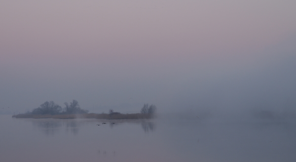 Cultuurzien's tweet photo. Mist boven de IJssel voor Kampen tot aan De Riette, za 1 febr., 08.15 uur..
#kampen #ijssel #mist #riette https://t.co/EgvhuxX88O