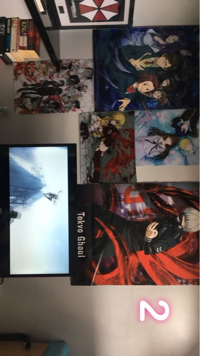 NrdWallProgress's tweet photo. Looks like by September of 2018 I started throwing the posters up,  such a shame I live in both a hot and windy place, requiring the window to be open and letting the weather take its course with most of these.  I miss quite a few of them, some are still around barely holding on. https://t.co/k0T2jWpxJA