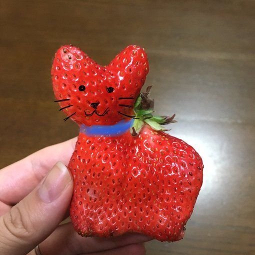 strawberry cats