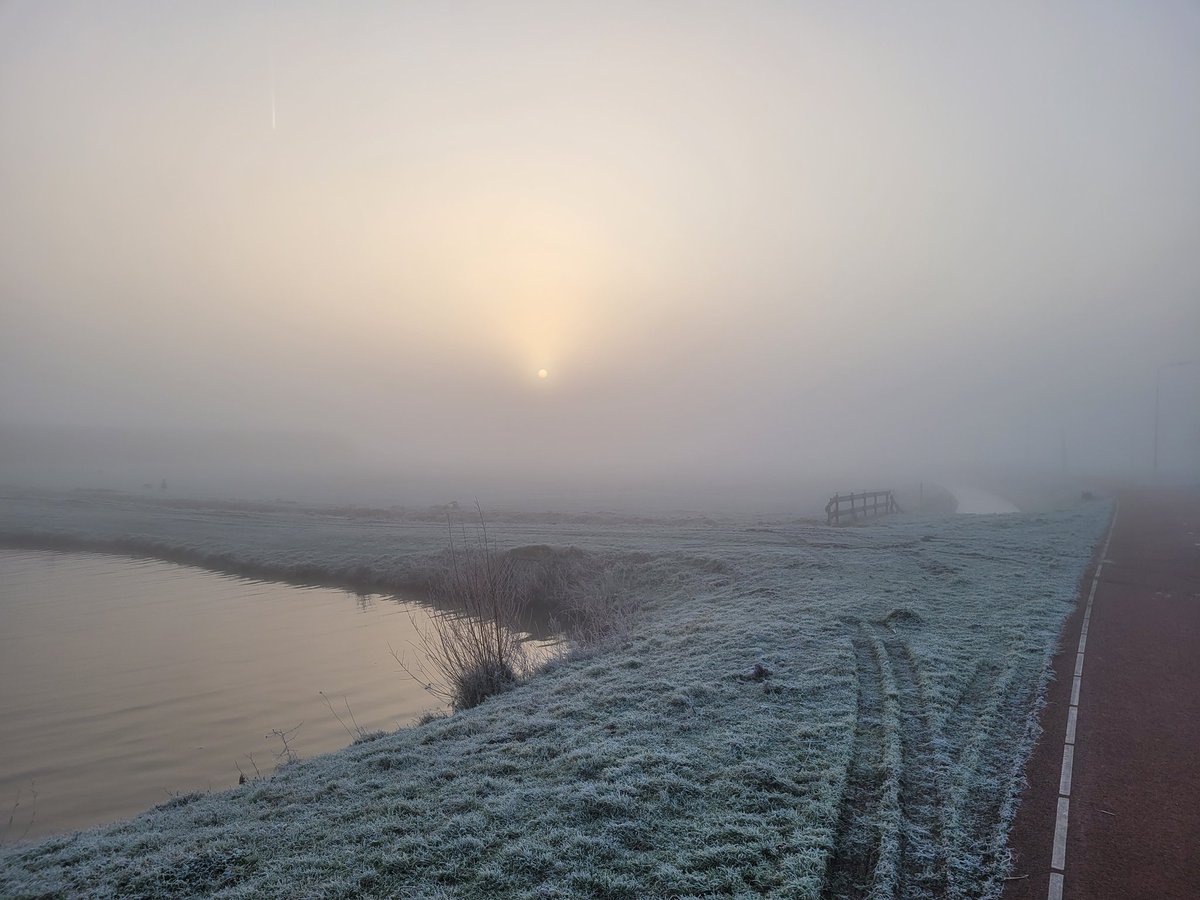 Wonderlijk zo'n dunne laag (15 m?) dichte ochtendmist. Zicht niet meer dan 50 m. Die enorme ster, zon, gereduceerd tot een maan, vanuit ons perspectief dan 😉