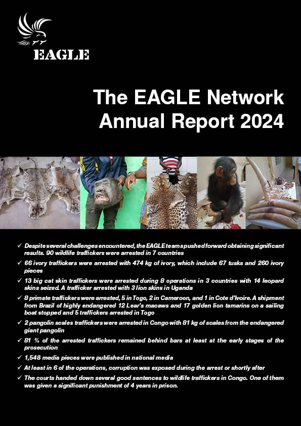 The EAGLE Network Annual Report 2024 is out - 

* 90 wildlife traffickers were arrested in 7 countries

* 66 ivory traffickers were arrested with 474 kg of ivory, which include 67 tusks and 260 ivory pieces

eagle-enforcement.org/data/files/eag…